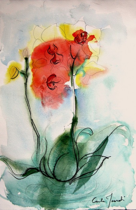 Orchidea - Acquerello 60x40 (2010)